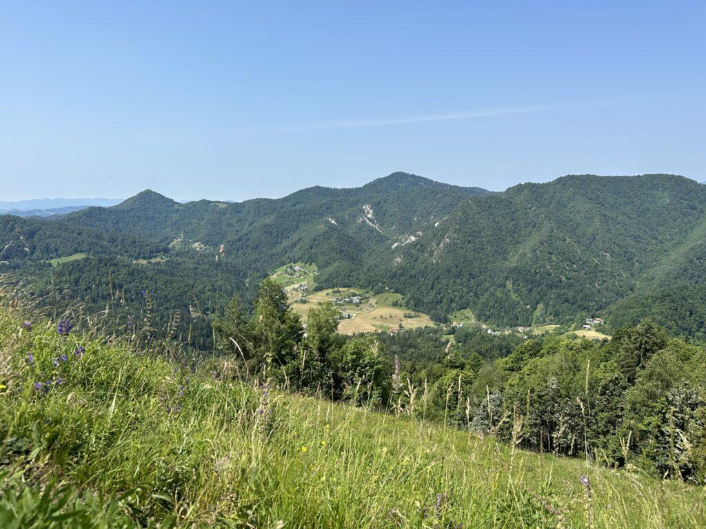 vodena gozdna kopel, čuječnost, narava, sprostitev, stres