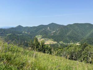 vodena gozdna kopel, čuječnost, narava, sprostitev, stres