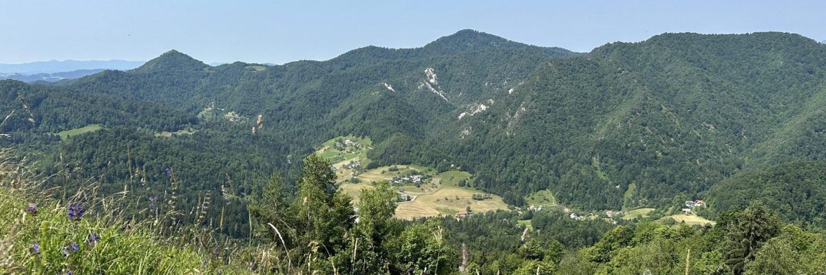 vodena gozdna kopel, čuječnost, narava, sprostitev, stres