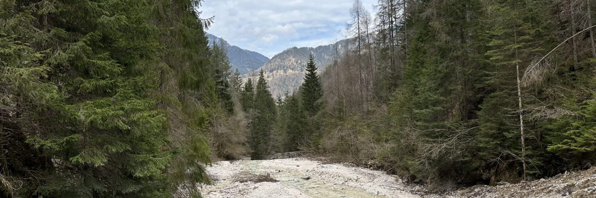 zacuti vse gozdna kopel _2